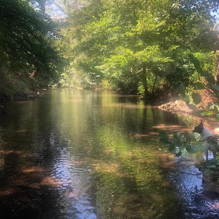 Moulin A Huile Chambre D'Hotes Vins-sur-Caramy Dış mekan fotoğraf