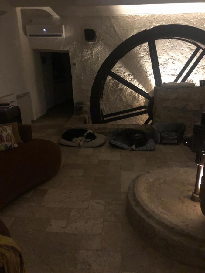 Moulin A Huile Chambre D'Hotes Vins-sur-Caramy Dış mekan fotoğraf